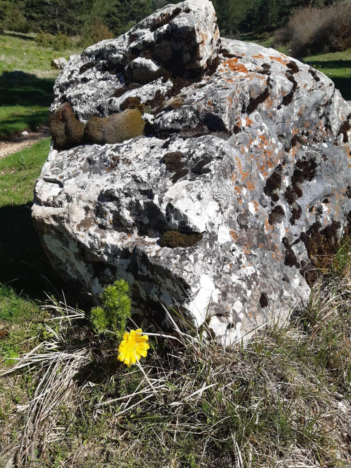 Il Girasole Acomodação com café da manhã Castelvecchio Calvisio Exterior foto