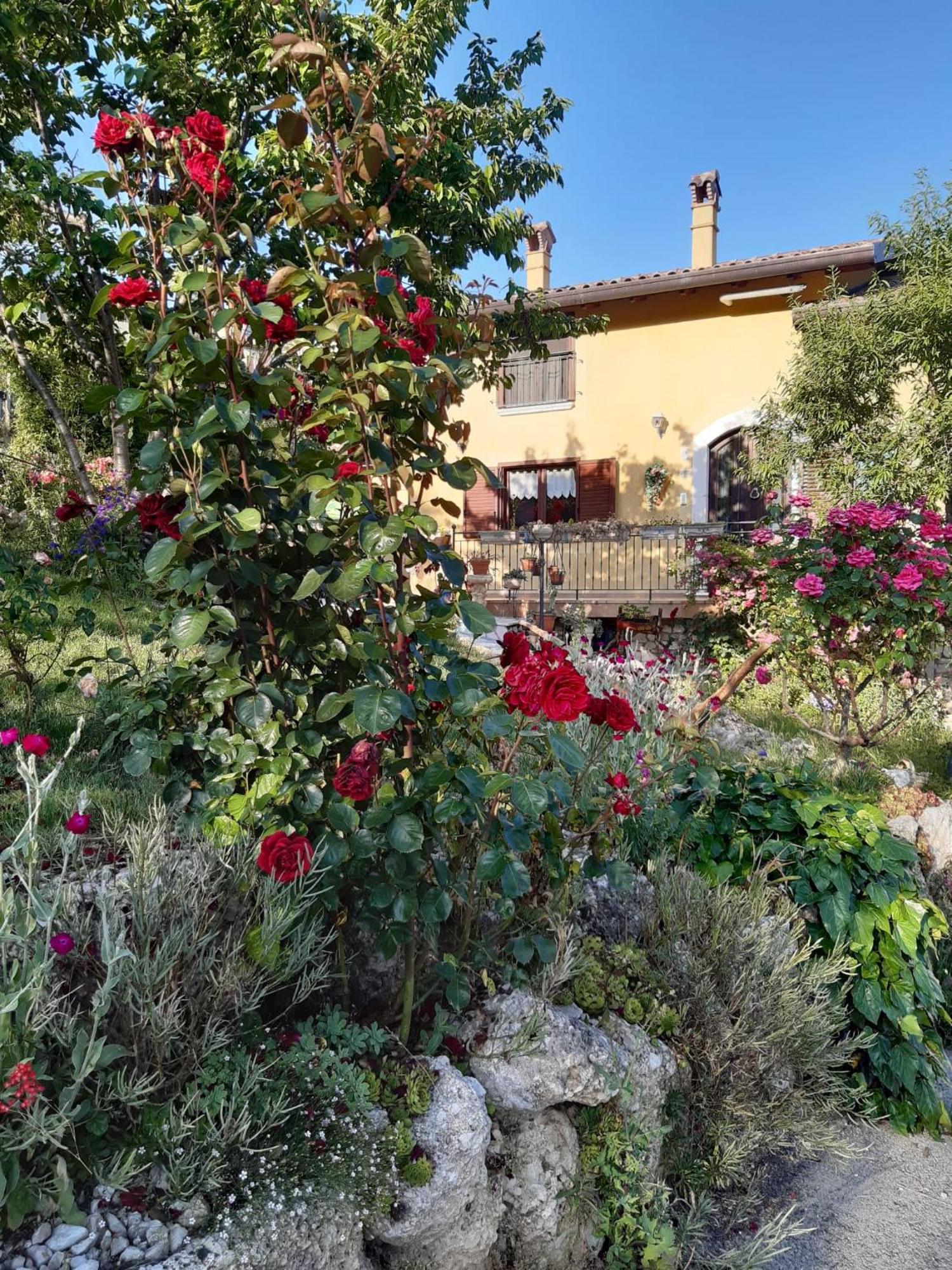 Il Girasole Acomodação com café da manhã Castelvecchio Calvisio Exterior foto